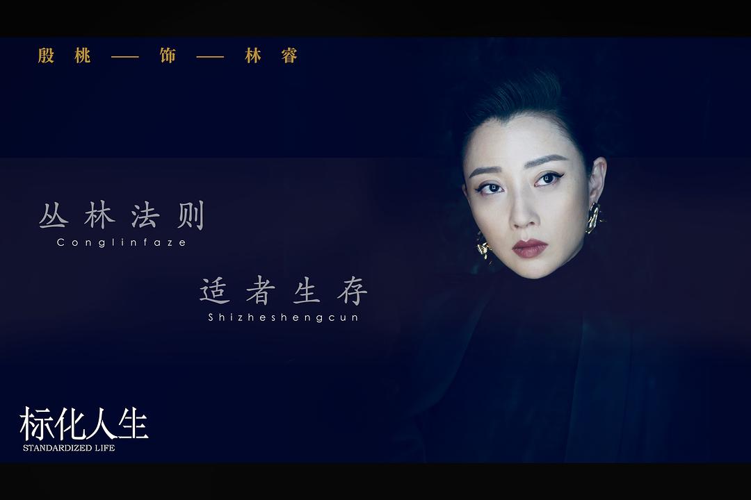 《标化女王》现代职场版《延禧攻略》！！吴谨言再重演逆袭人生！！