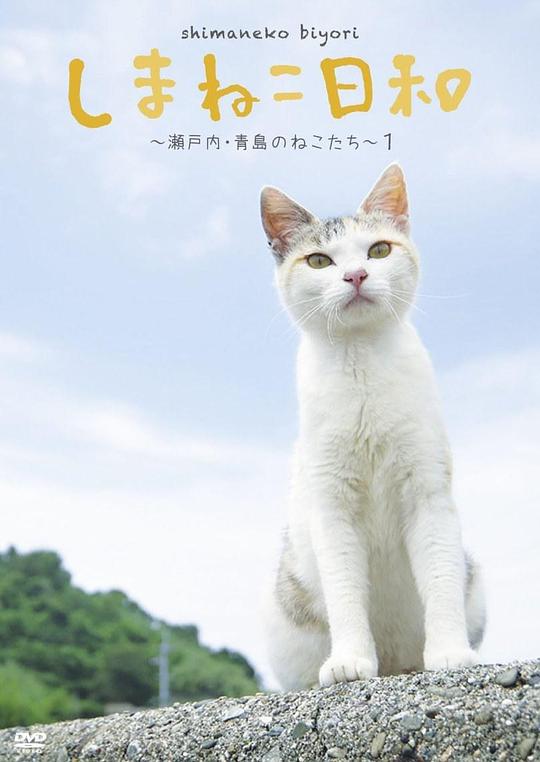 俺是猫，欢迎来俺家玩