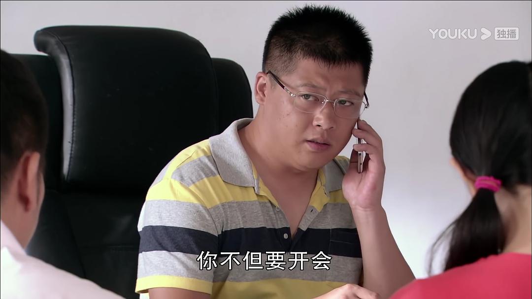 乡村爱情变奏曲