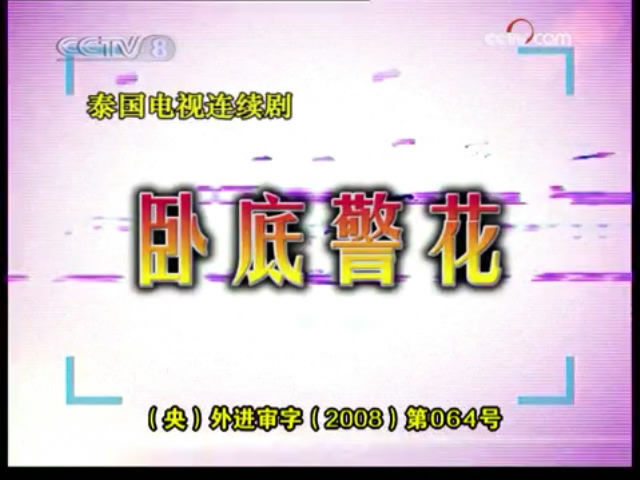 卧底警花