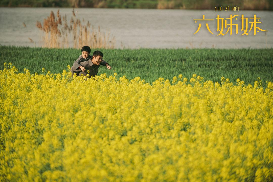 六姊妹